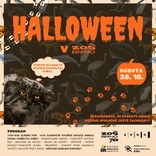 Dýně zdarma, věštkyně, vyhynulá zvířata a nová expozice pro manuly. Halloween v Zoo Brno láká na pestrý program